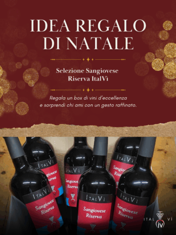 Sangiovese Riserva 2020 (promo Natale 25)